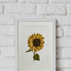Watercolour Print