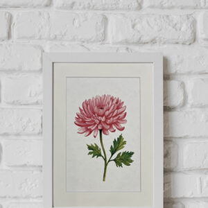Watercolour Print